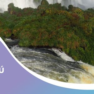 PAQUETE A IGUAZÚ -  HOTEL MERCURE IRU