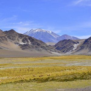 TINOGASTA - CATAMARCA