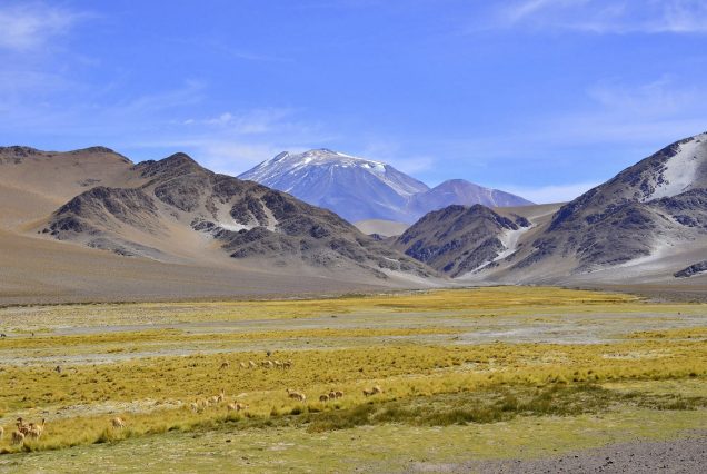 TINOGASTA - CATAMARCA